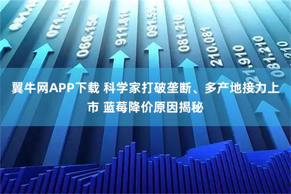 翼牛网APP下载 科学家打破垄断、多产地接力上市 蓝莓降价原因揭秘